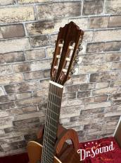 パコ・カスティージョ　Paco Castillo Model:201  杉・サペリ【新品】_7