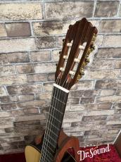 パコ・カスティージョ　Paco Castillo Model:203 松・ローズウッド【新品】 _7