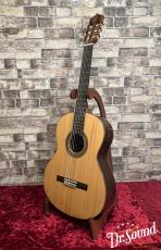 Paco Castillo パコ・カスティージョ Model:203 杉・ローズウッド【新品】_2