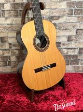 Paco Castillo パコ・カスティージョ Model:203 杉・ローズウッド【新品】_3
