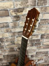 Paco Castillo パコ・カスティージョ Model:203 杉・ローズウッド【新品】_7