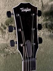 Taylor Custom Select CTM614ce Next Generation #C1071 -Trans Gray- #1206126099【48回迄金利0%対象】_4