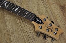 Paul Reed Smith [PRS] SE Custom 24_4