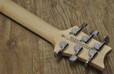 Paul Reed Smith [PRS] SE Custom 24_5