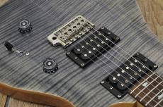 Paul Reed Smith [PRS] SE Custom 24_8