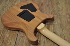 Paul Reed Smith [PRS] SE Custom 24_9