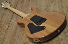 Paul Reed Smith [PRS] SE Custom 24_10