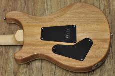 Paul Reed Smith [PRS] SE Custom 24_11