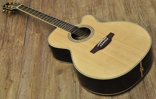 Takamine 500 Custom