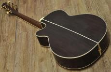 Takamine 500 Custom_2