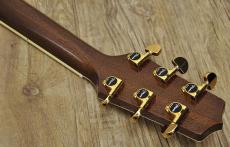 Takamine 500 Custom_6