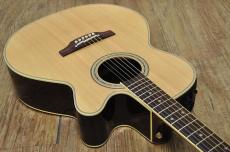 Takamine 500 Custom_7