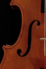 個人製作家 【ビオラ】 Rajmund i Barbara Swirek 1993 41.7cm Katowice 【池袋店】_5