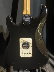 Fender Eric Clapton Stratocaster Blackie_5