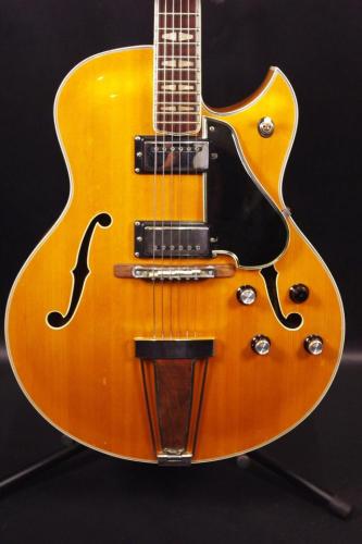 YAMAHA AE-11