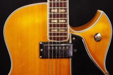 YAMAHA AE-11_8