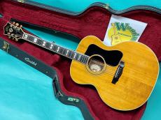 Guild F-50R 