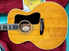 Guild F-50R _2