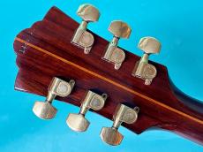 Guild F-50R _6
