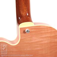 Rozeo Ladybug-CB CM HB/Trans Pink_14