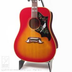 Gibson Dove