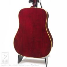 Gibson Dove_3
