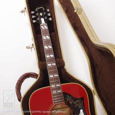 Gibson Dove_8