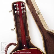 Gibson Dove_9