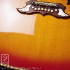 Gibson Dove_12