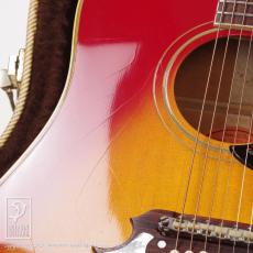 Gibson Dove_13