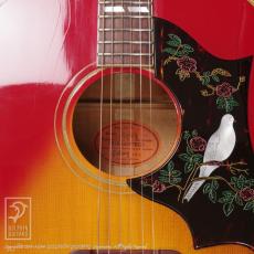 Gibson Dove_15