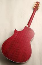 Morris 【OUTLET SALE!】 TC-16/SPK #2411020 【フローレンタイン・カッタウェイ×シースルーピンク】_9