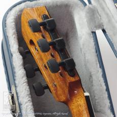 aNueNue aNN-MN214 (Nylon Strings)_7