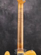 TMG Guitar [正規代理店] Gatton Butterscotch_10