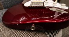 TMG Guitar [正規代理店] DOVER HSS_10