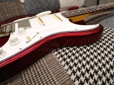 TMG Guitar [正規代理店] DOVER HSS_12