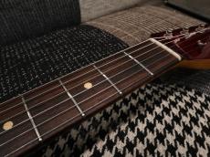 TMG Guitar [正規代理店] DOVER HSS_17