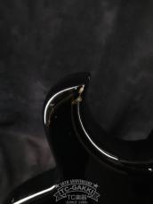 Aria Pro II 1982 SB-Black'n'Gold II_11