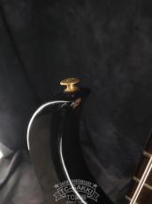 Aria Pro II 1982 SB-Black'n'Gold II_15