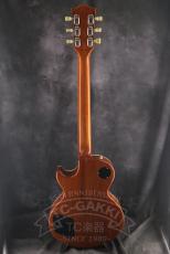 Tokai LS-144_13