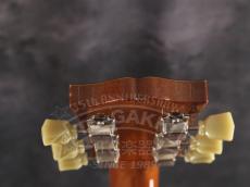Tokai LS-144_16