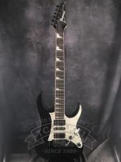 Ibanez RGV250_2
