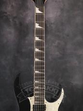 Ibanez RGV250_3