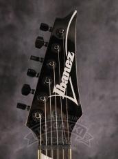 Ibanez RGV250_4