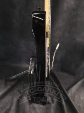 Ibanez RGV250_5