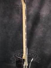 Ibanez RGV250_6