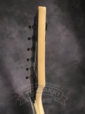 Ibanez RGV250_10