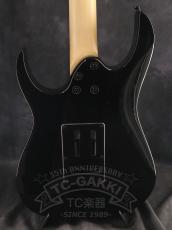 Ibanez RGV250_12
