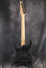 Ibanez RGV250_13