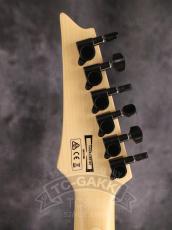 Ibanez RGV250_15